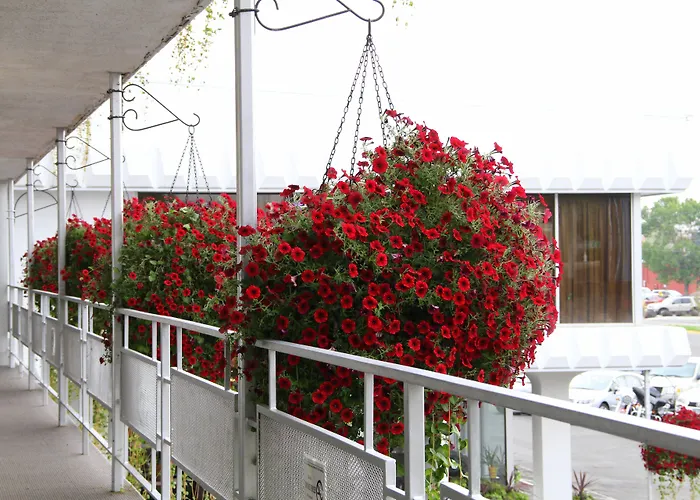Lewis & Clark Motel - Bozeman