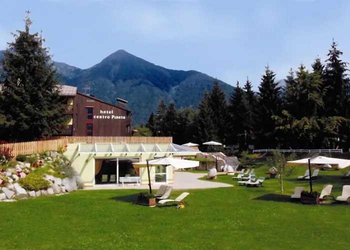 Centro Pineta Family Hotel&Wellness Pinzolo