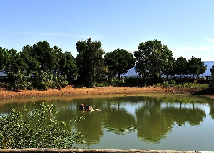 Popilia Country Resort Pizzo 