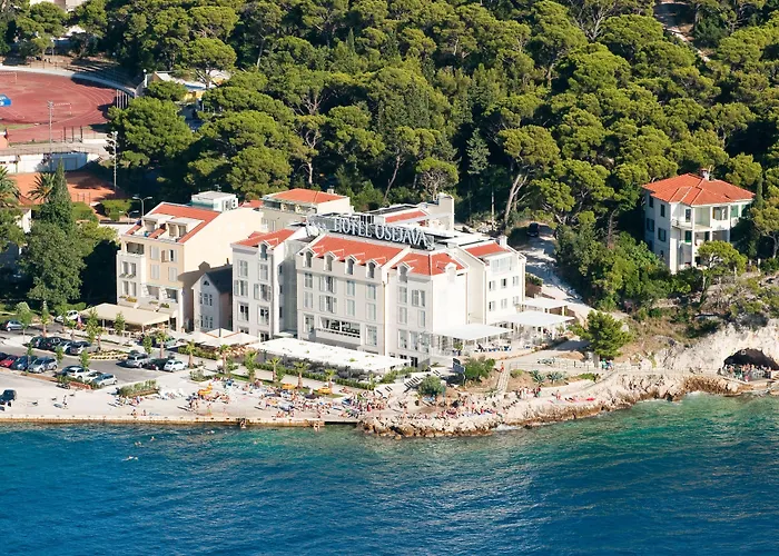 Hotel Osejava