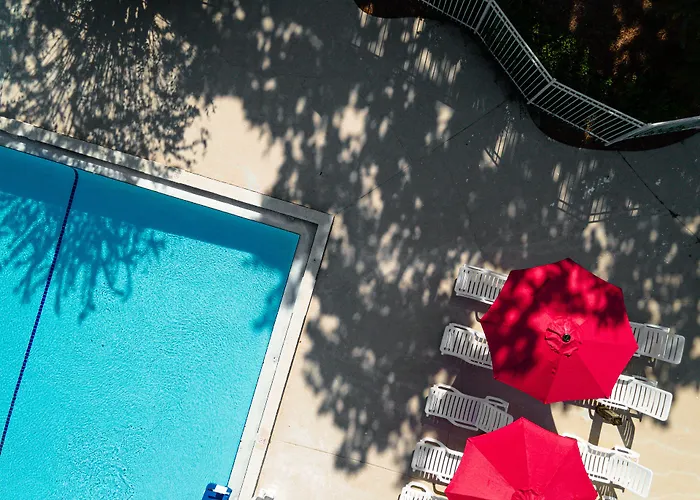 Baymont By Wyndham Orlando Lake Buena Vista South Kissimmee