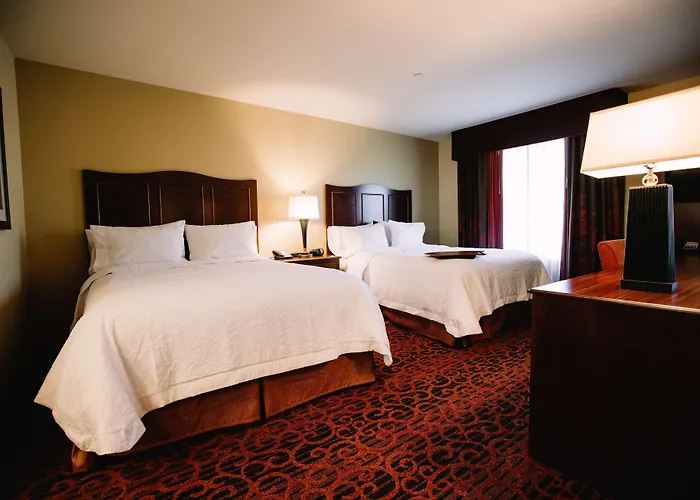 Minot Hotels