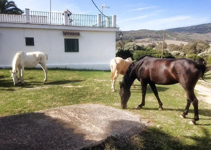 Hotel-Apart CORTIJO LAS PIÑAS Tarifa