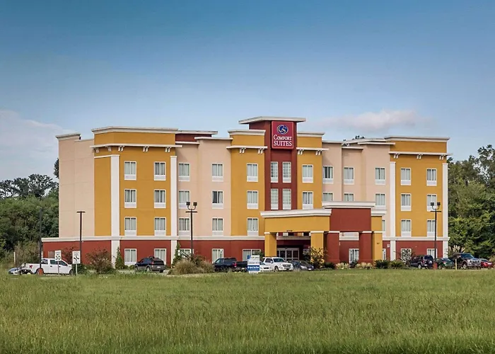 Comfort Suites Near Tanger Outlet Mall Gonzales