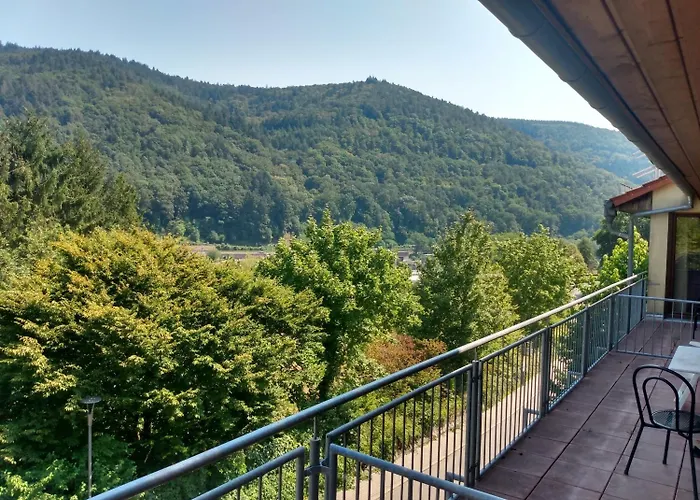 Hotel zum Neckartal Heidelberg Schlierbach