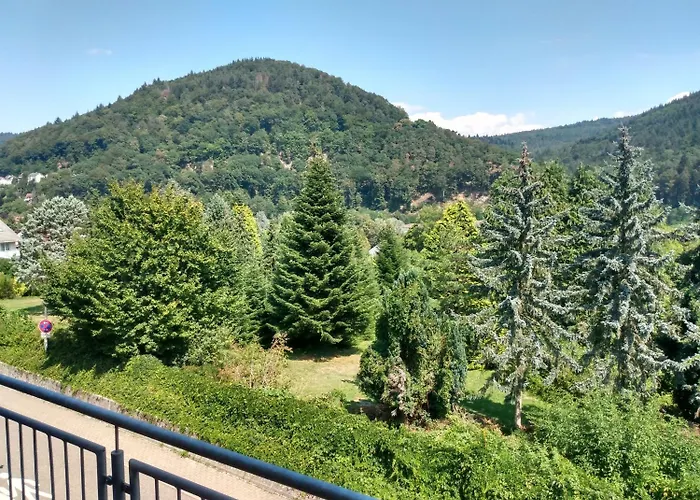 Hotel zum Neckartal Heidelberg Schlierbach
