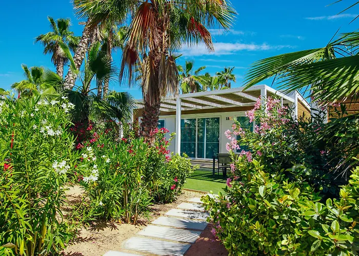 Hotel Alannia Costa Blanca Crevillente