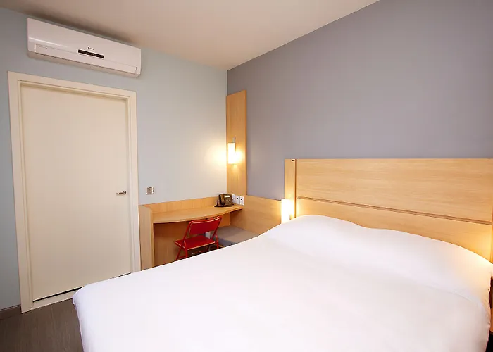 Ibis Montenegro