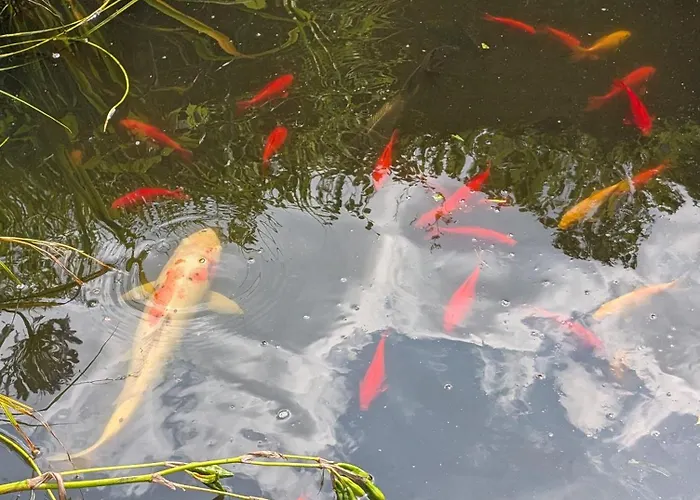De Tuinkamer Lanaken