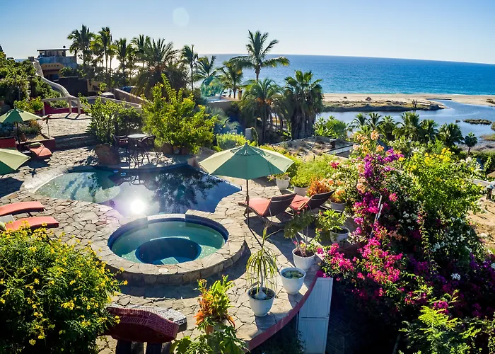 Los Colibris Casitas Todos Santos