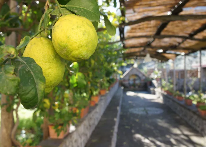 Bed and Breakfast San Francesco Relais Massa Lubrense