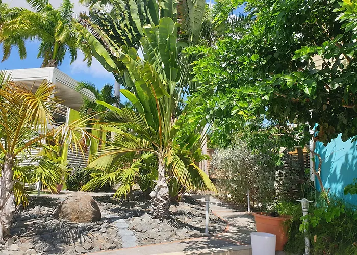 Majesty Palm Hôtel