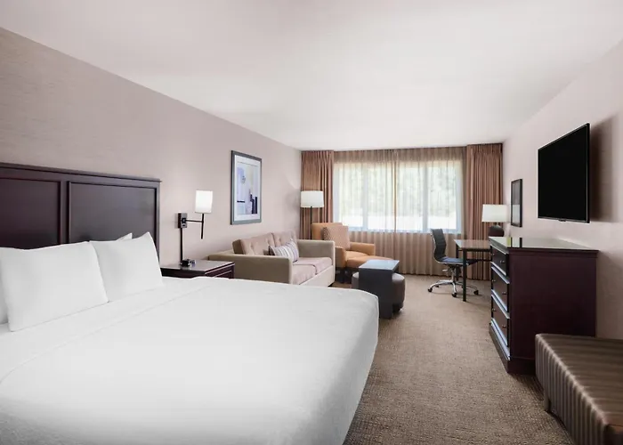 Bellevue Hotels