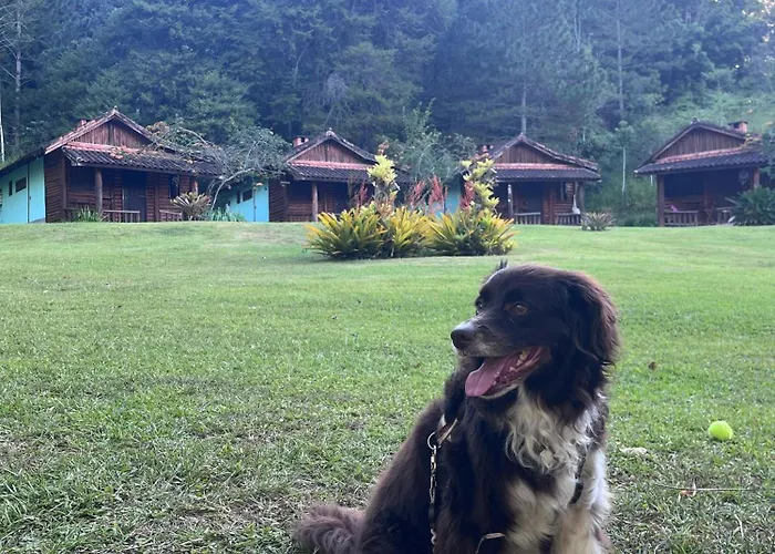 Pousada Cabanas Da Serra Lumiar