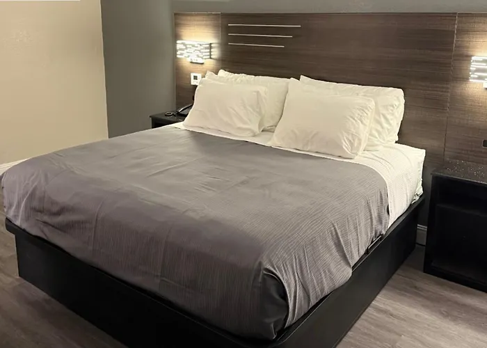 Lx Hotel, Surestay Collection By Best Western