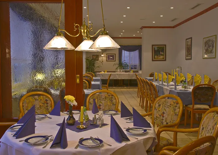 Hotel Park Eckersbach Zwickau