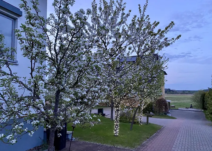 Hotel am Müritz-Nationalpark Waren 