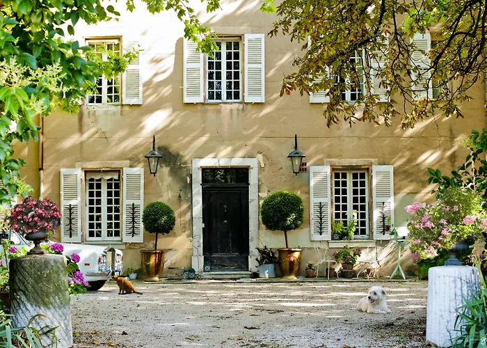 B&B Domaine Le Clos du Pavillon Authenticité et Ressourcement garantis Brignoles