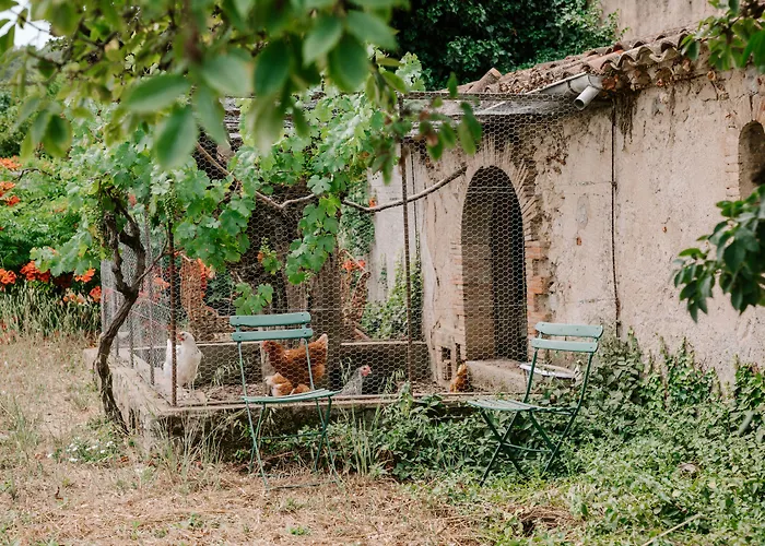 B&B Domaine Le Clos du Pavillon Authenticité et Ressourcement garantis Brignoles