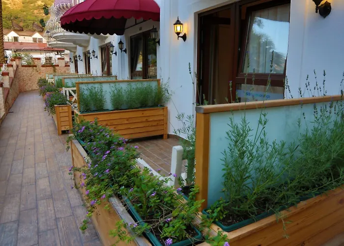 S3 Hotels Orange Ölüdeniz