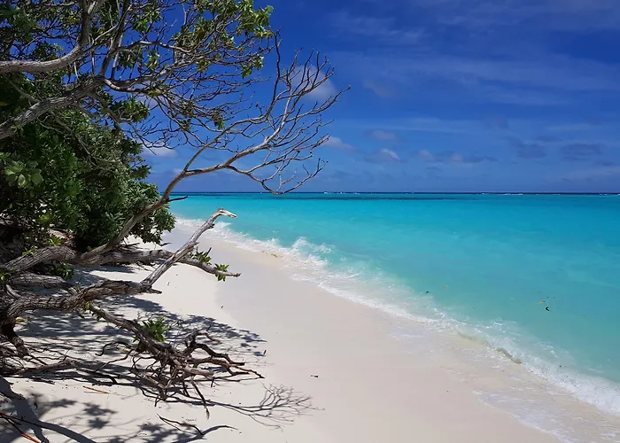 Hotels in Thoddoo-Atoll
