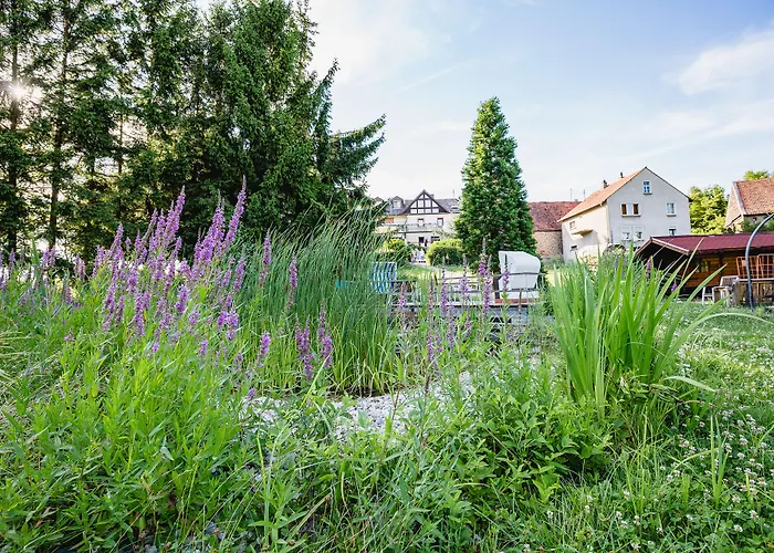 Verwöhnhotel Bastenhaus Dannenfels