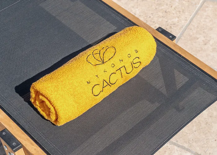 Mykonos Cactus