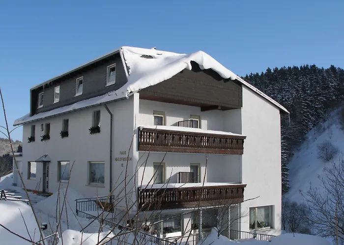 Pension Haus Waldfrieden, Meinecardplus Inklusive Willingen 