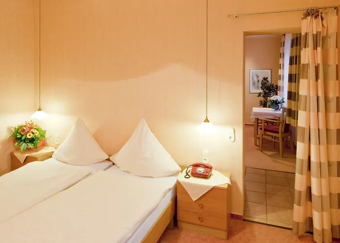 Hotel Birkenstern Bad Wildungen