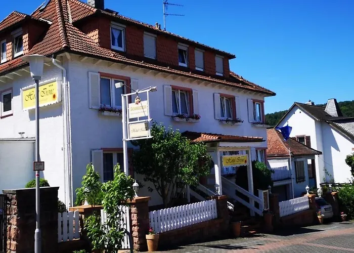 Hotel Irene Bad König