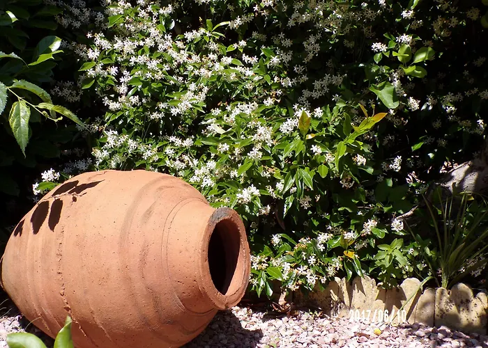 Villa Angel - Spa Caunes-Minervois