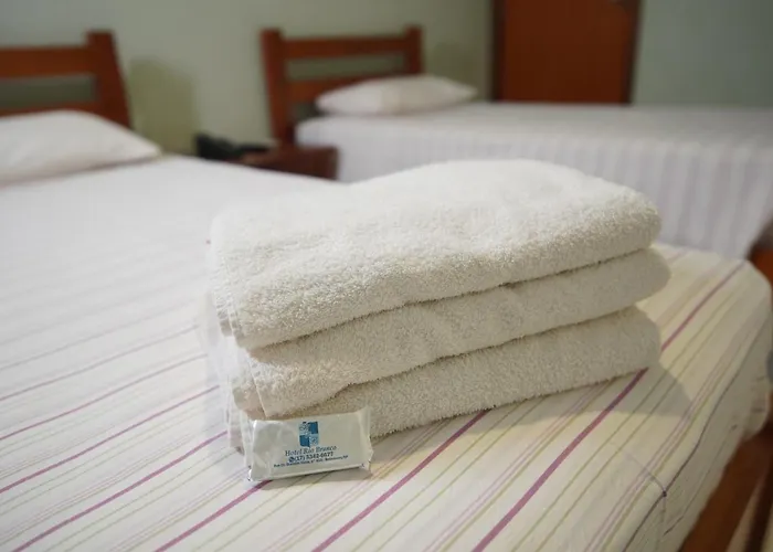 Hotel Barão Do Rio Branco Bebedouro