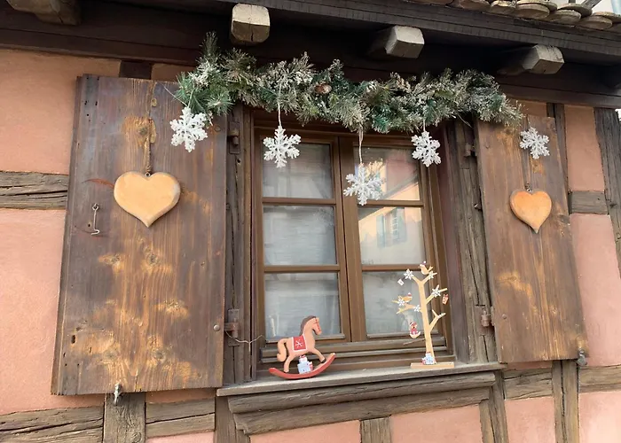 Gîte de caractère au calme , proche quartier historique, Au Merlenchanteur Schiltigheim