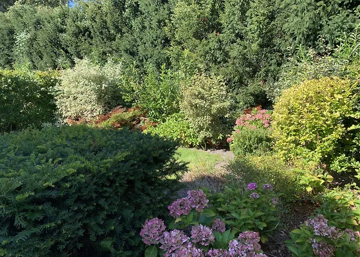 Europarcs Koningshof Hotel Schoorl