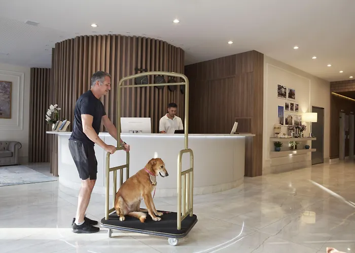 Lefel Hotel São Bento do Sul