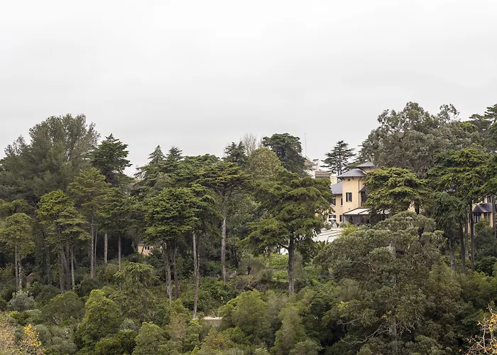 Sintra Marmòris Camélia