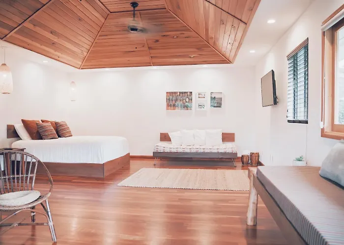 Loi B&B