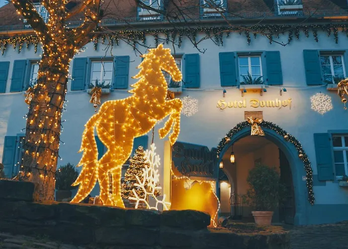 Hotel Domhof Speyer