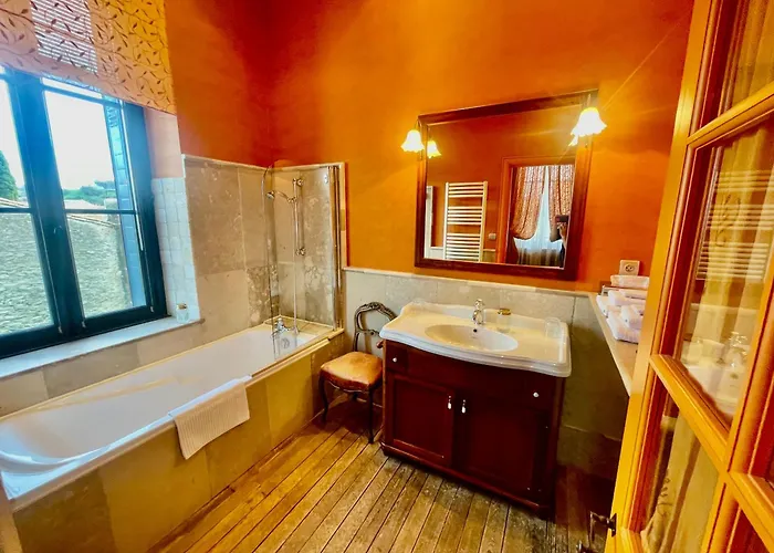 Demeure Saint Louis Historic Manor, City 700M, Free Parking,A C,Clim,Wifi, City View, Garden Carcassonne