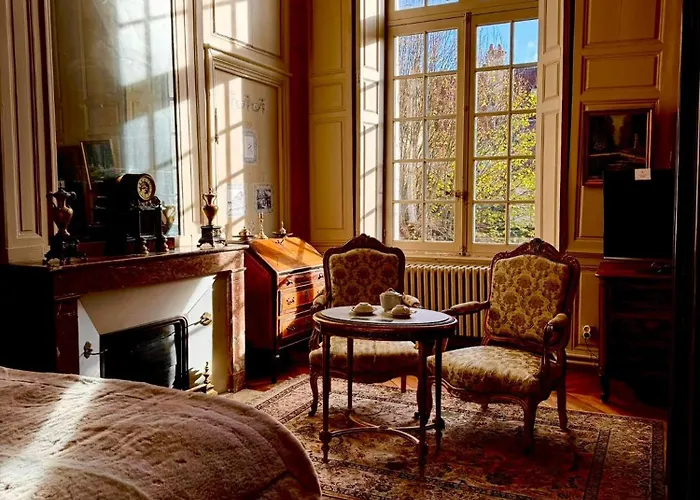 Hotel de Panette - Chambres historiques Bourges