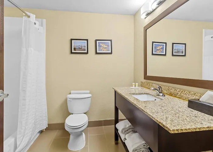 Comfort Suites Lake Jackson Clute