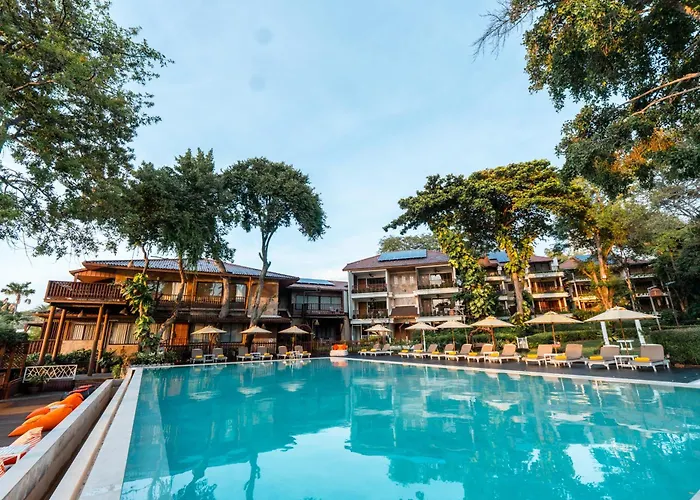 Birds And Bees Resort