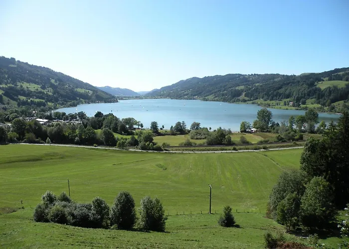 Goldiger Hirsch B&B mit Kochmöglichkeiten