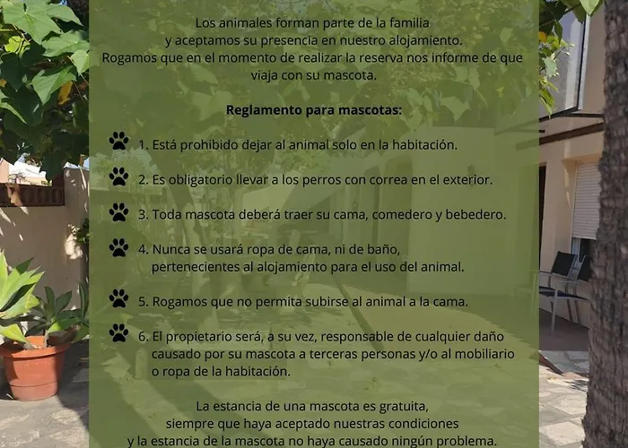 Alojamiento Café Soles Dénia