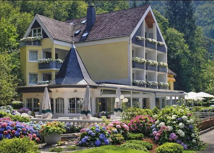 Hotel Schwanenweiher Bad Bertrich