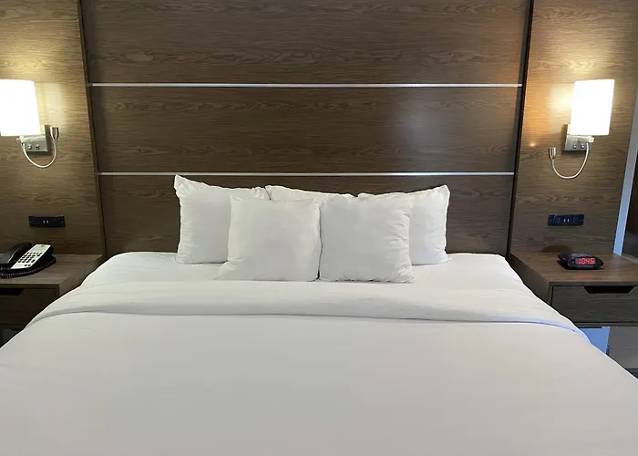 Comfort Inn & Suites Near Lake Guntersville Scottsboro