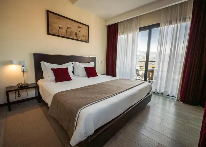 Hotel S Pedro - Arouca