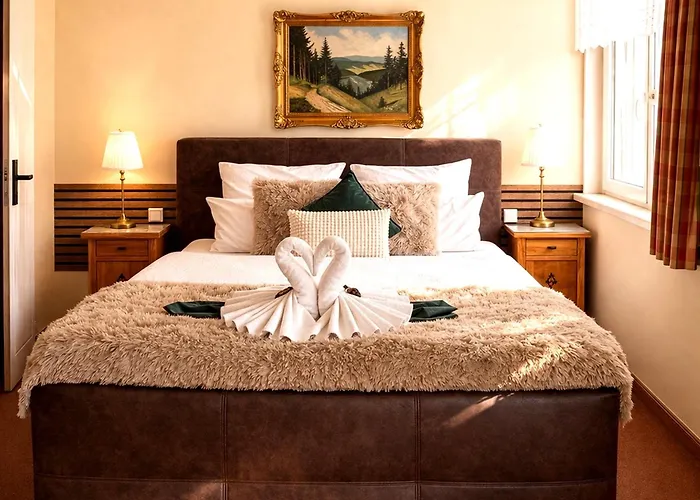 Hotel Elisabeth Ilse Braunlage