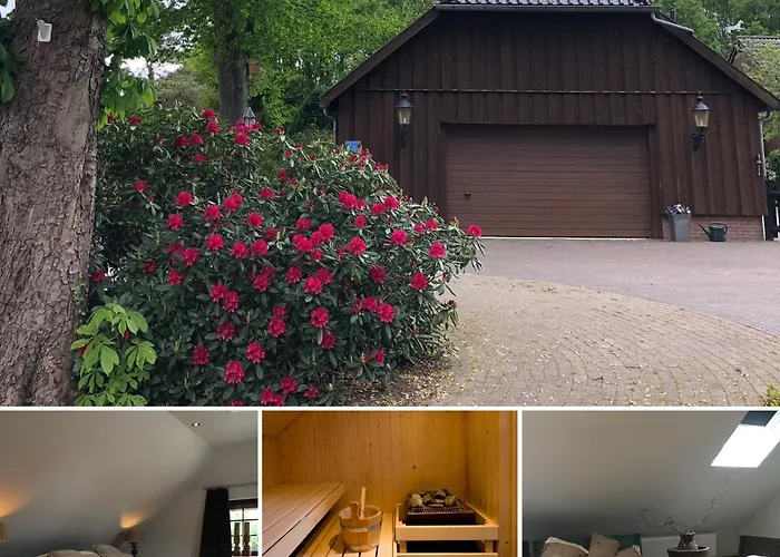 B&B De Drentse Es