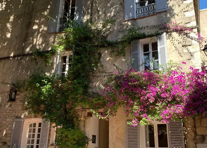 La Clé de la Porte Rentals Antibes